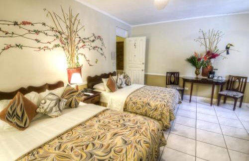 Ciudad Cariari Hôtel | Adventure Inn