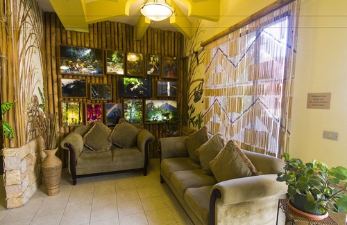 Ciudad Cariari Hôtel | Adventure Inn