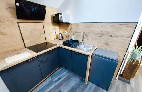 Ujazd Appartement | AE BERG Apartamenty