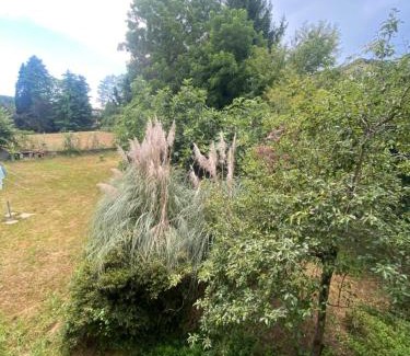 Arona Maison | Affittacamere La Quiete
