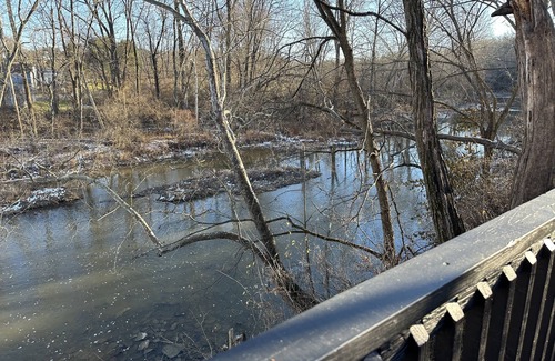 Williamsburg Maison | AFORDABLE & CHARMING HOME - Enjoy Urban Life & Nature! Hike, Bike, Shop & Dine!