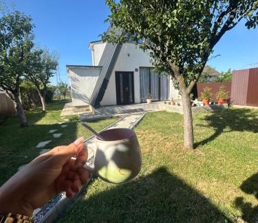 Baia de Fier Chalet De Ski | Aframe -Melissa