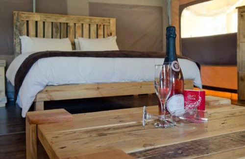 Scheepersrus Cabine | African Game Lodge