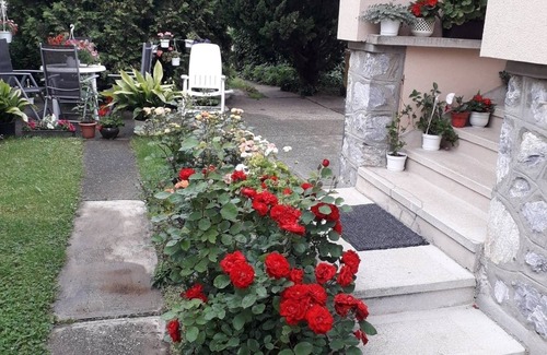 Sarospatak Maison | Agica Apartman- near the Thermal Water in Sarospatak