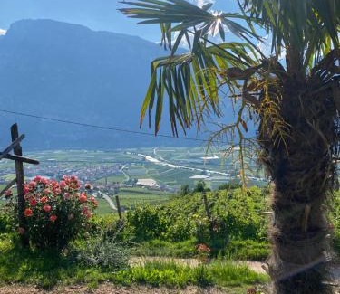 Lavis Appartement | Agritur Chalet Belvedere
