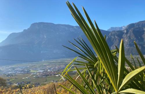 Lavis Appartement | Agritur Chalet Belvedere