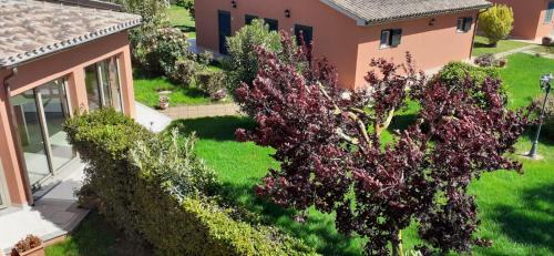 Capalbio Maison | Agriturismo Agrifoglio