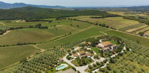 Massa Marittima Maison | Agriturismo Baia degli Ulivi