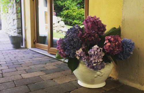 Arona Maison | Agriturismo Biomatto