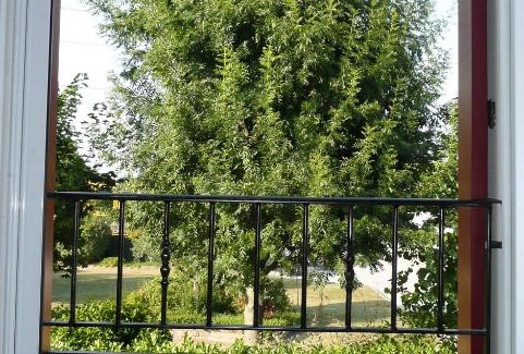 Camponogara Maison | Agriturismo Campoverde