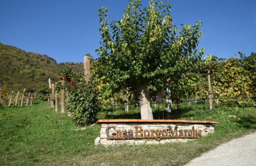 San Pietro di Barbozza Maison | Agriturismo Casaborgomarche