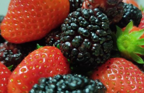 Quartiere XXIV Don Bosco Lit Et Petit-Déjeuner | Agriturismo Chiusulelle