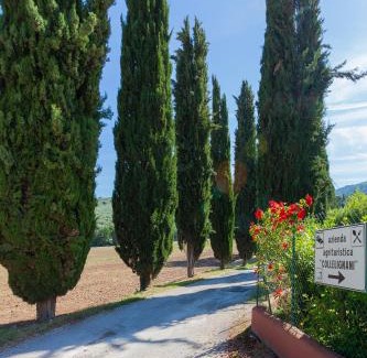 Eggi Maison | Agriturismo Collelignani