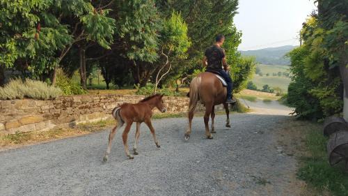 Bassano Sotto Maison | Agriturismo Corte del Gallo