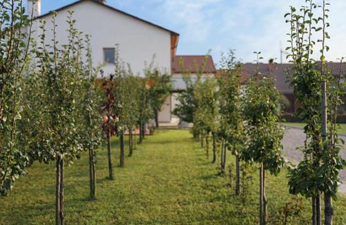 Onara Maison | Agriturismo Corte Foscara