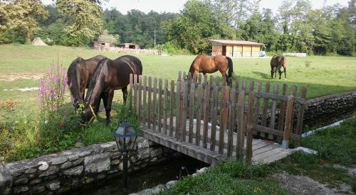 Oleggio Maison | Agriturismo Helianthus
