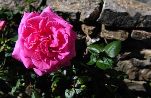Semproniano Maison | Agriturismo I Monti