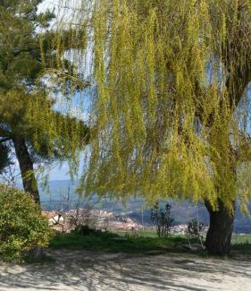 Baselice Maison | Agriturismo Il Regio Tratturo