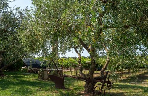 Affi Maison | Agriturismo Incaffi