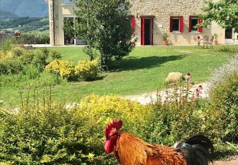 San Pietro di Feletto Lit Et Petit-Déjeuner | Agriturismo Lemire