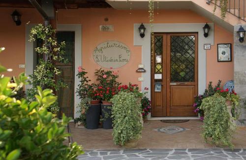 San Brizio Maison | Agriturismo L'Ulivo in Fiore
