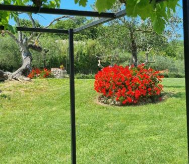 Collesalvetti Maison | Agriturismo La Casa dei Ricordi