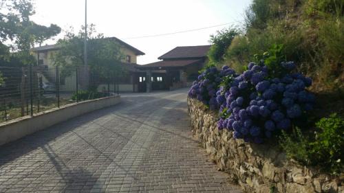 Corigliano-Rossano Maison | Agriturismo La Pigna