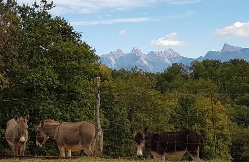 Masero Maison | Agriturismo La Selva