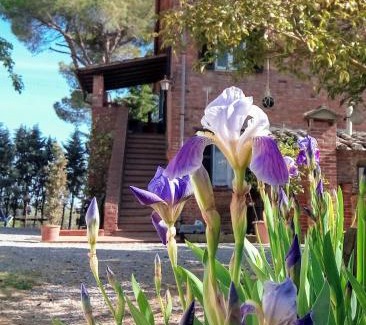 Ferretto Maison | Agriturismo La Terra