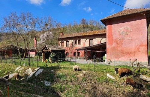 Cassine Maison | Agriturismo La.Ti.Mi.Da.
