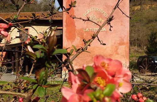 Cassine Maison | Agriturismo La.Ti.Mi.Da.