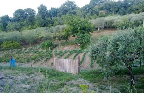 Felitto Maison | Agriturismo le Cammarose