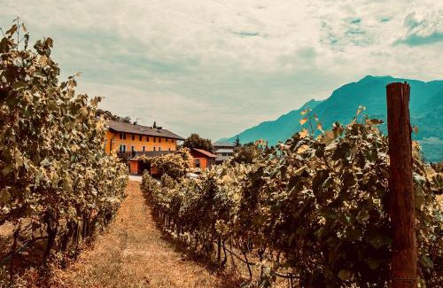 Martignano Maison | Agriturismo Mas dei Chini