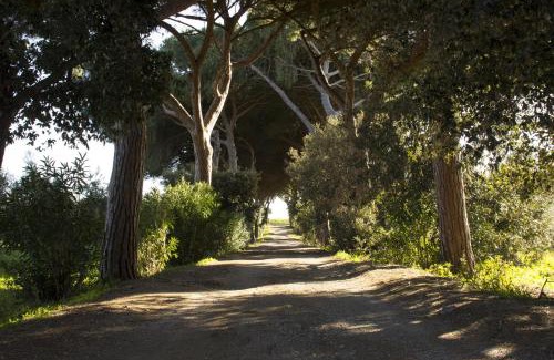 Capalbio Maison | Agriturismo Monte Alzato