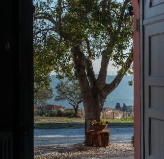 Marcellinara Maison | Agriturismo Piano del Monaco
