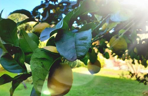 San Felice Circeo Maison | Agriturismo Podere Bedin