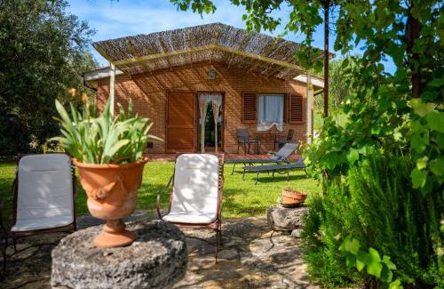 Castiglione del Lago Maison | Agriturismo Poggio Antico