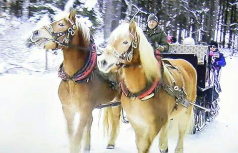 Tarvisio Maison | Agriturismo Prati Oitzinger