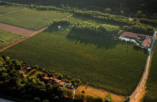 Capriolo Maison | AGRITURISMO RIPA DEL BOSCO