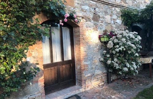 Radicondoli Appartement | Agriturismo San Domenico-Il Roseto