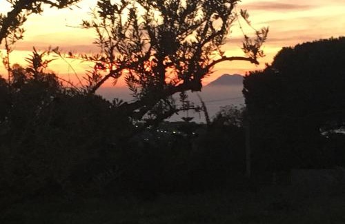 Ricadi Maison | Agriturismo Seaview