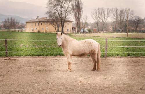 Protte Maison | Agriturismo Stovali Da Lustrinu