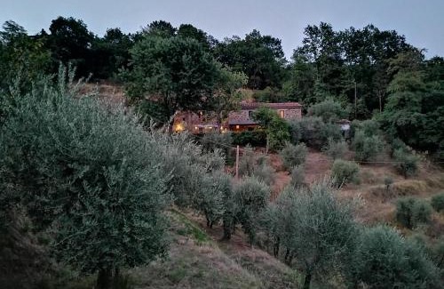 Marliana Lit Et Petit-Déjeuner | Agriturismo Tananei