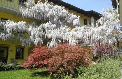 Roppolo Maison | Agriturismo Tra Serra E Lago