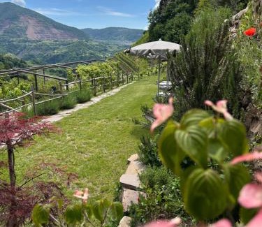 Cembra Maison | Agriturismo ValFraja