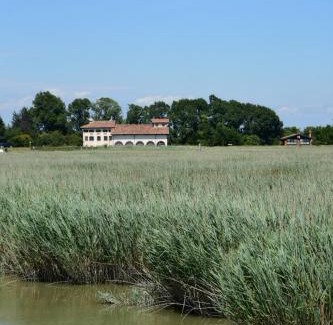 Ca'Noghera Chalet De Ski | Agriturismo Venice Photobirding