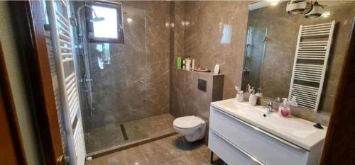 Baia-Sprie Maison | Agropensiunea Hareta