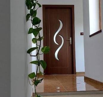 Niculitel Maison | Agropensiunea Olteanu