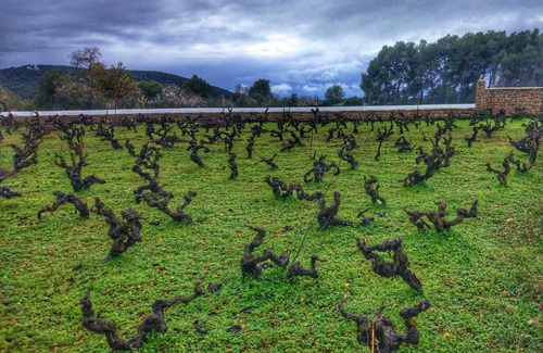 Sant Joan de Labritja Maison | Agroturismo Sa Vinya d'en Palerm