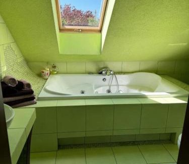 Jezow Sudecki Appartement | Agroturystyka Alpakolandia Góra Szybowcowa